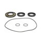 Set reparatie diferential ALL BALLS kit garnituri spate pentru CAN-AM OUTLANDER RENEGADE 450-1000 2014-2017