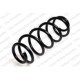 Arcuri elicoidale Fata Dreapta/Stanga pentru AUDI A4 B5, VW PASSAT B5, PASSAT B5.5 1.6-2.5D 01.95-05.05, Diametru 132.0 mm, Lungime 360.0 mm