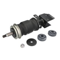 Amortizor, suspensie cabina MONROE