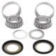 Rulment cap de şasiu ALL BALLS Caster Având Kit pentru Honda, Diametru interior 26.0 mm, Diametru exterior 48.5 mm, Înălţime 15.0 mm