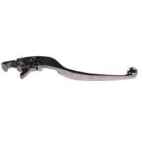 Maneta, ghidon VICMA