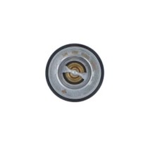 Termostat,lichid racire NRF