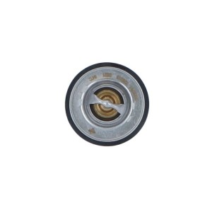 Termostat,lichid racire NRF