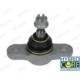 Articulatie sarcina/ghidare MOOG Pivot axa Dreapta/Stanga inferior fata 14,9mm pentru HYUNDAI ELANTRA IV, I30; KIA CARENS III, CEE&apos;D, CERATO II, MAGENTIS II