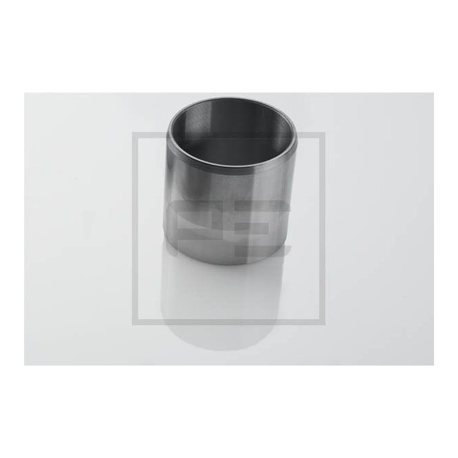 Rulment, ax cardanic PETERS