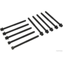 Set surub chiulasa HERTH+BUSS JAKOPARTS