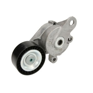 Intinzator,curea transmisie SKF