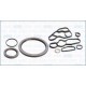 Set garnituri carter AJUSA pentru CITROEN C4, C4 GRAND PICASSO I, C4 I, C5 II, C5 III, C5 II/KOMBI, C8; PEUGEOT 307, 308, 407, 807, EXPERT 2.0/2.0ALK 06.04-