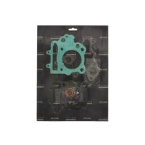 Set garnituri complet, motor RMS