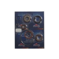 Set garnituri pentru motor RMS