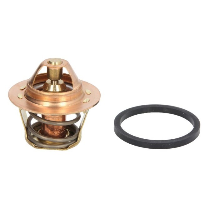 Termostat,lichid racire VERNET