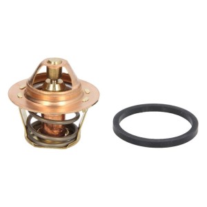 Termostat,lichid racire VERNET