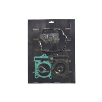 Set garnituri complet, motor RMS