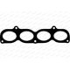 Garnitura galerie admisie OPEL ASTRA F G CORSA B TIGRA 1.4 16V 07.94-01.05 90.0 mm x 400.0 mm x 1.0 mm PAYEN