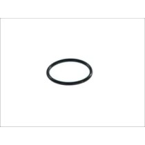 Garnitura, pompa combustibil HANS PRIES