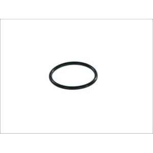 Garnitura, pompa combustibil HANS PRIES