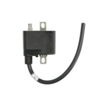 Bobina de inductie DZE