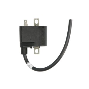 Bobina de inductie DZE