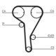 Curea de distributie CONTITECH pentru ALFA ROMEO 159, CHEVROLET AVEO, FIAT CROMA, OPEL ASTRA G, 24.0 mm, 146 dinti, 8.0 mm pas dantura