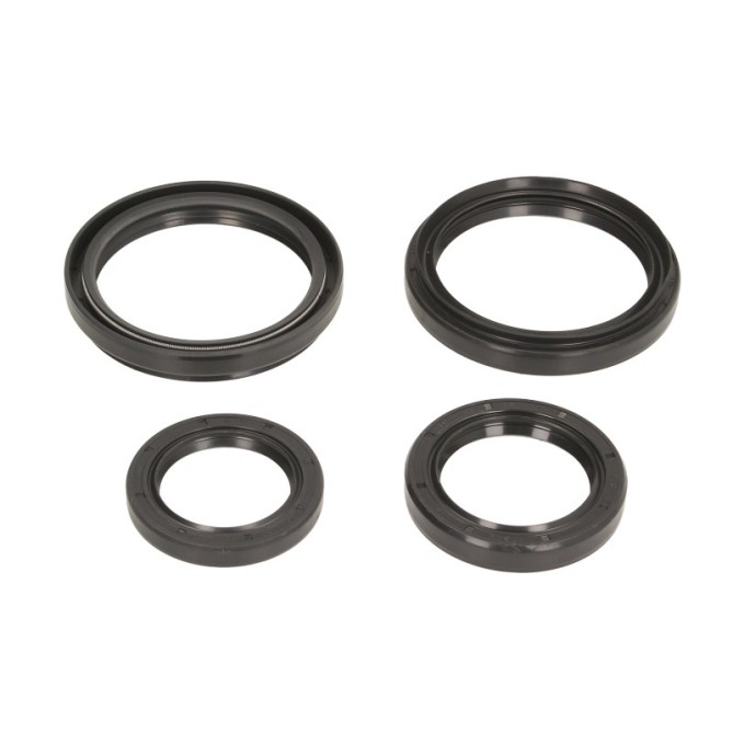 Set reparatie, diferential ALL BALLS