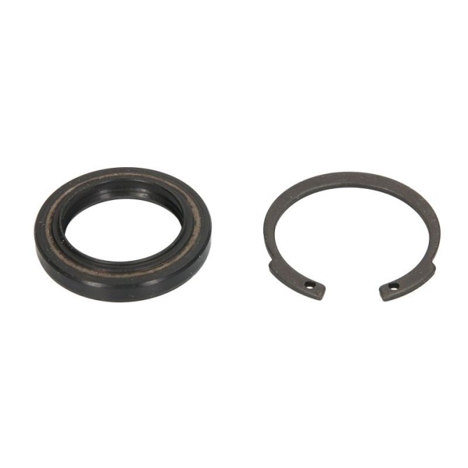 Set garnituri, caracsa directie FEBI