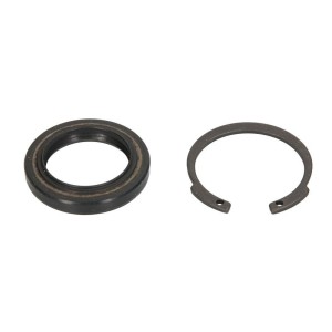 Set garnituri, caracsa directie FEBI