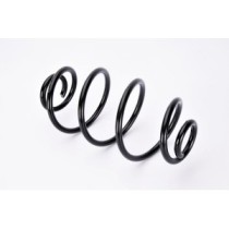 Arcuri elicoidale MAGNUM TECHNOLOGY