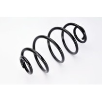 Arcuri elicoidale MAGNUM TECHNOLOGY