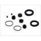 Kit reparare etrier Fata Dreapta/Stanga 44mm pentru CITROEN C35, JUMPER I, JUMPER II, FIAT DUCATO, FORD FOCUS II, PEUGEOT BOXER 1.6D-3.0D