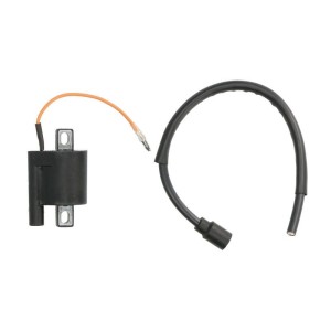 Bobina de inductie DZE