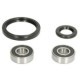 Kit rulmenti roata fata PIVOT WORKS pentru KAWASAKI KDX, KLX 200-650 1993-2008 cu garnituri