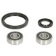 Kit rulmenti roata fata PIVOT WORKS pentru KAWASAKI KDX, KLX 200-650 1993-2008 cu garnituri