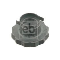 Piulita ax, planetara FEBI