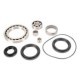Set reparatie diferential ALL BALLS naprzawczy unelte kit pentru CF Moto, pozitie de montare spate, piese auto