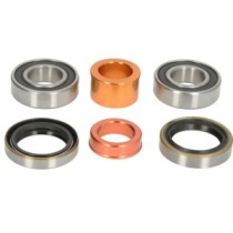 Kit rulmenti roata PIVOT WORKS