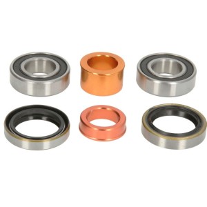 Kit rulmenti roata PIVOT WORKS