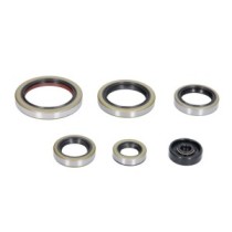 Set garnituri pentru motor WINDEROSA