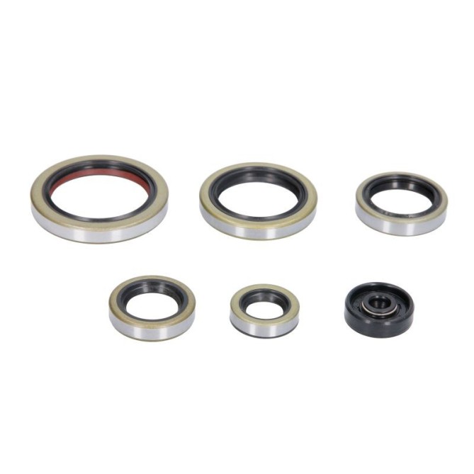 Set garnituri pentru motor WINDEROSA