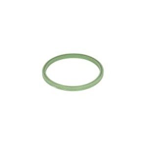 Inel etansare, furtun aer supraalimentare THERMOTEC