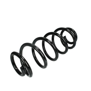 Arcuri elicoidale MAGNUM TECHNOLOGY