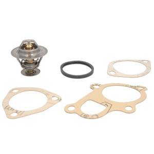 Termostat,lichid racire VERNET