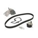 Set pompa apa + curea dintata SKF pentru FORD C-MAX II, FIESTA VI, FOCUS III, GALAXY II, GALAXY III 1.5/1.6ALK 07.10-