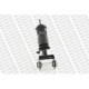 Amortizor suspensie cabina MONROE Spate Dreapta/Stanga RVI C D KERAX MAGNUM PREMIUM 2 VOLVO FE FE II D7E240-G9K320 10.04 191.0 mm
