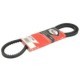 Curea transmisie GATES V-Belt 10x1175/1185 pentru BUICK, lungime 1175 mm/1185 mm, lățime 10 mm, material poliester, culoare negru