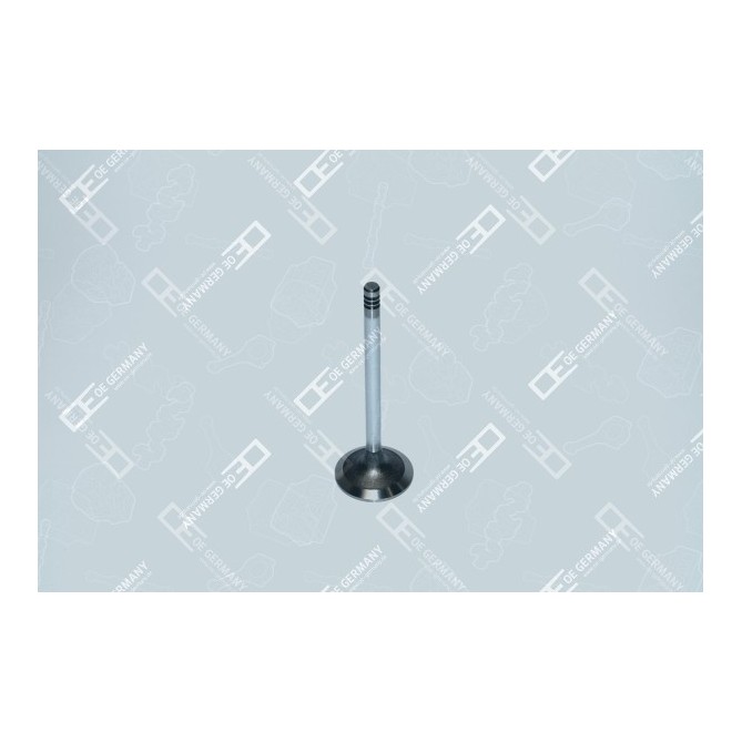 Supapa admisie OE GERMANY