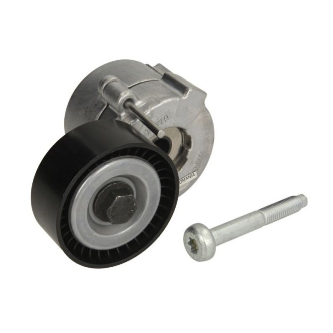 Intinzator,curea transmisie INA