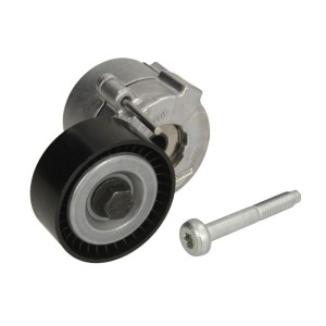 Intinzator,curea transmisie INA