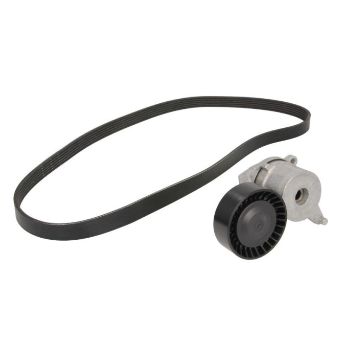 Set curea transmisie cu caneluri INA