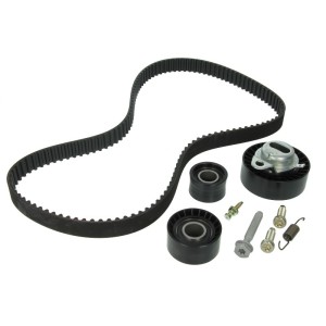 Set curea de distributie INA