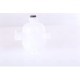 Vas de expansiune racire NISSENS pentru DACIA DUSTER, LOGAN, SANDERO, RENAULT CLIO II, KANGOO, capacitate 0.8 l, material plastic